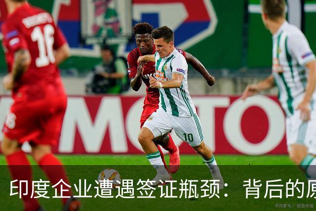 印度企业遭遇签证瓶颈：背后的原因与后果